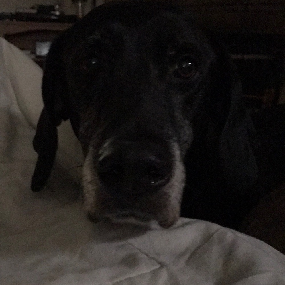 Meet your Posher, Melimelissa